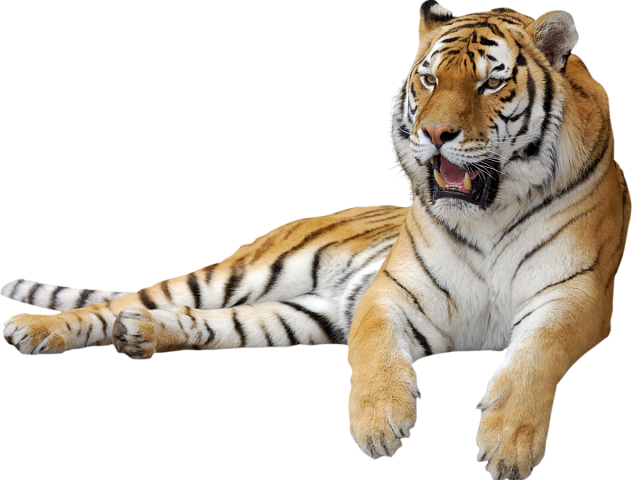 Ремонт АКПП